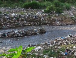 Limbah Paracetamol di Sungai Citarum Dua Kali Lipat Lebih Tinggi dari Teluk Jakarta