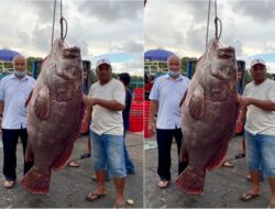 Viral ! Seorang Nelayan di Selayar, Tangkap Ikan Kerapu Berbobot 270 Kg