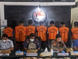 Polda Metro  Sita 471 Kg Ganja dari Peredaran Narkotika Jaringan Antarpulau