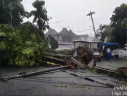 Akibat Hujan dan Angin Kencang, Pohon Beringin di Alun-alun Utara Yogyakarta Tumbang