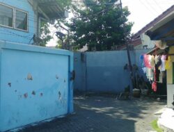 Warga Resah Karena Ratusan Monyet Liar ‘Serang’ Perkampungan di Malang