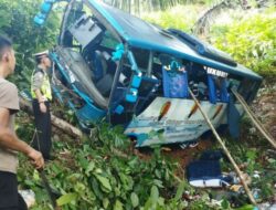 Satu Penumpang Tewas Akibat Bus Terjun ke Jurang di Jalinbar Pesibar