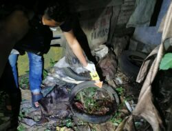Usai Dirampok, Wanita Penjual Angkringan di Kebumen Ditemukan Tewas