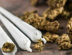 Seorang Mahasiswa Ditangkap Karena Jadi Pengedar Ganja di Sekitar Kampus Swasta di Pondok Gede
