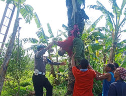 Seorang Kakek di Bali Tersangkut di Pohon Setinggi 15 Meter di Tepi Jurang