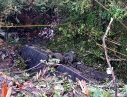 Bus Pariwisata Jatuh ke Jurang di Tasikmalaya, 4 Orang Meninggal Dunia