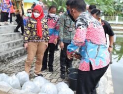 Walikota Bandar Lampung Menebar 10.000 bibit ikan nila dan ikan emas Di Embung Korpri Sukarame