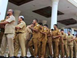 Waduh ! Sebanyak 3.764 Honorer Aceh Utara Terancam Tidak Digaji Tahun Depan