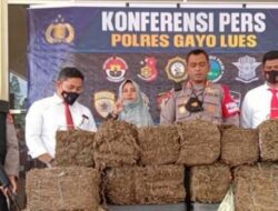 Polisi Gagalkan Peredaran 175 Kg Ganja di Aceh, 1 Pelaku Tewas dan 1 Tertangkap