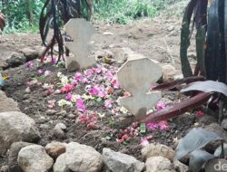 Viral ! Bocah 11 Tahun di Tasik Meninggal Usai Dipaksa Setubuhi Kucing oleh Teman