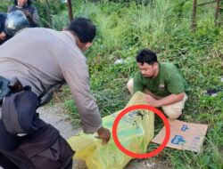 Heboh! Jasad Bayi yang Telah Membusuk Ditemukan di Semak, Dikira Bangkai Kucing