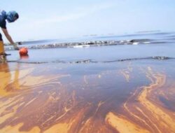 Laut Lamtim Tercemar Limbah, Ini Hasil Lab yang Dibeberkan Kadis LH Lampung