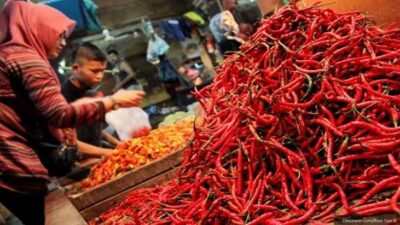 Ibu-Ibu Ketar Ketir, Harga Cabai di Pesisir Barat Naik Sampai 100rb Perkilo