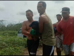 2 Hari Tinggalkan Rumah, Kakek 86 Tahun Asal Tubaba Ditemukan Tewas! Berikut Lokasinya