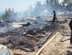 3 Rumah Warga di Sikka Hangus Terbakar, Seorang Lansia Dilaporkan Tewas