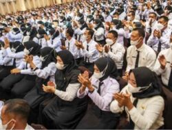 Seleksi CPNS Kembali Dibuka di 2023, Berikut Formasi yang Menjadi Prioritas