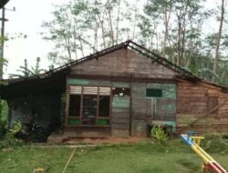 Puluhan Rumah di Tanggamus Rusak Diterjang Puting Beliung, 4 Rusak Berat
