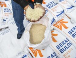 Harga Beras Melonjak Naik, Mendag Minta Bulog Lepas Stok Langsung ke Pasar