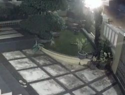 Baru Ditinggal Istirahat, Mobil Pikap Digondol Komplotan Pencuri